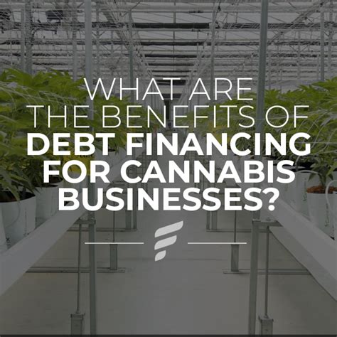 nevada cannabis equipment financing loans|HEF Finance: Tailored Cannabis Loans in Nevada .